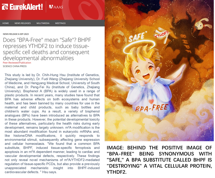 ͼƬ 2.png